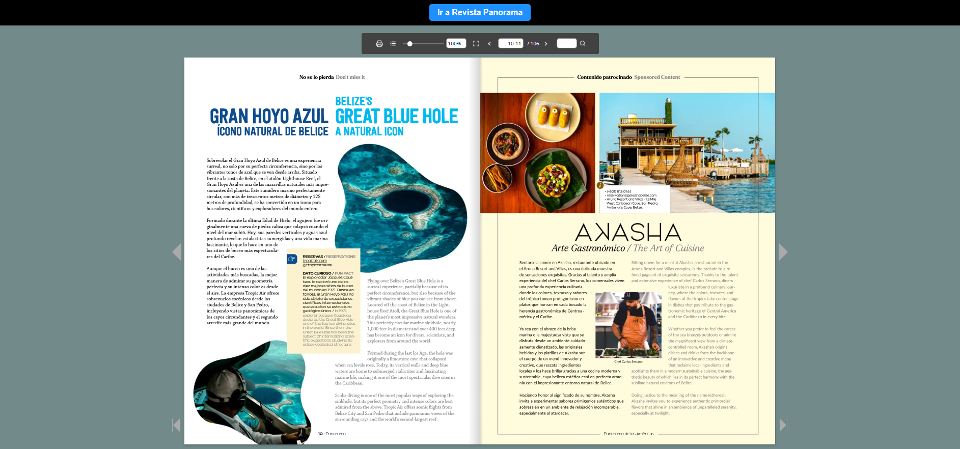 Revista Panorama ARUNA AKASHA