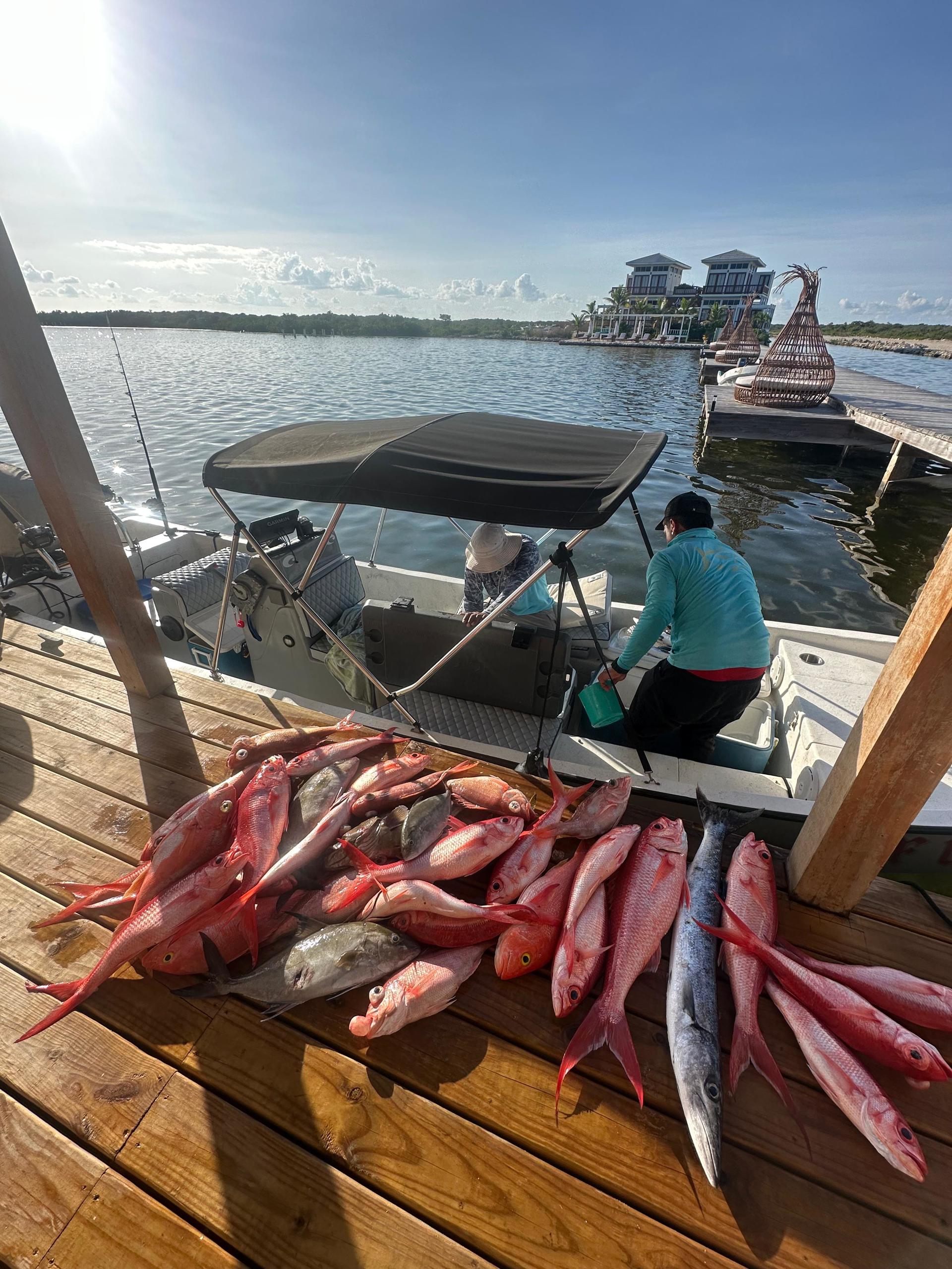 Belize seafood red snapper