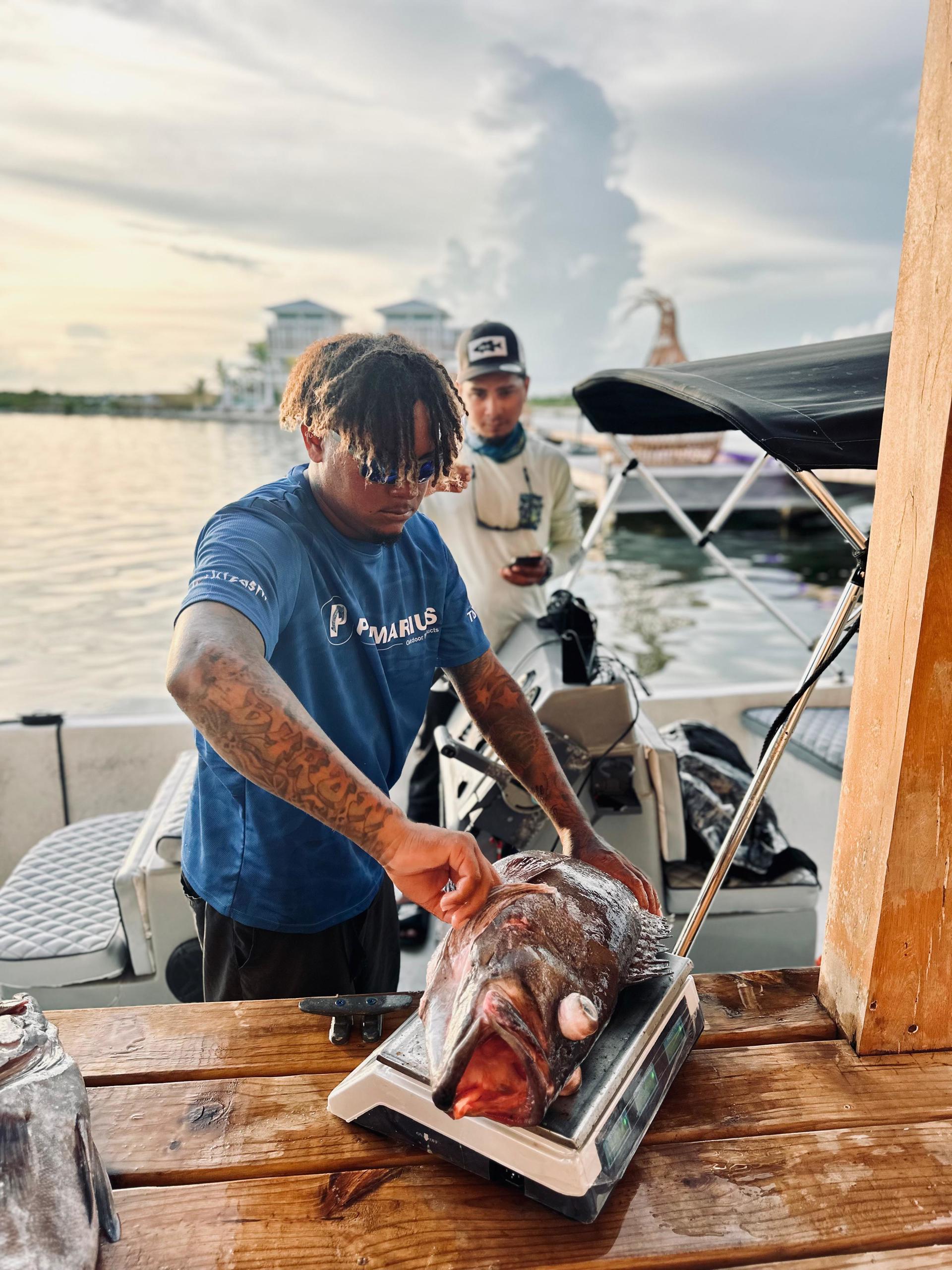 grouper Belize at akasha