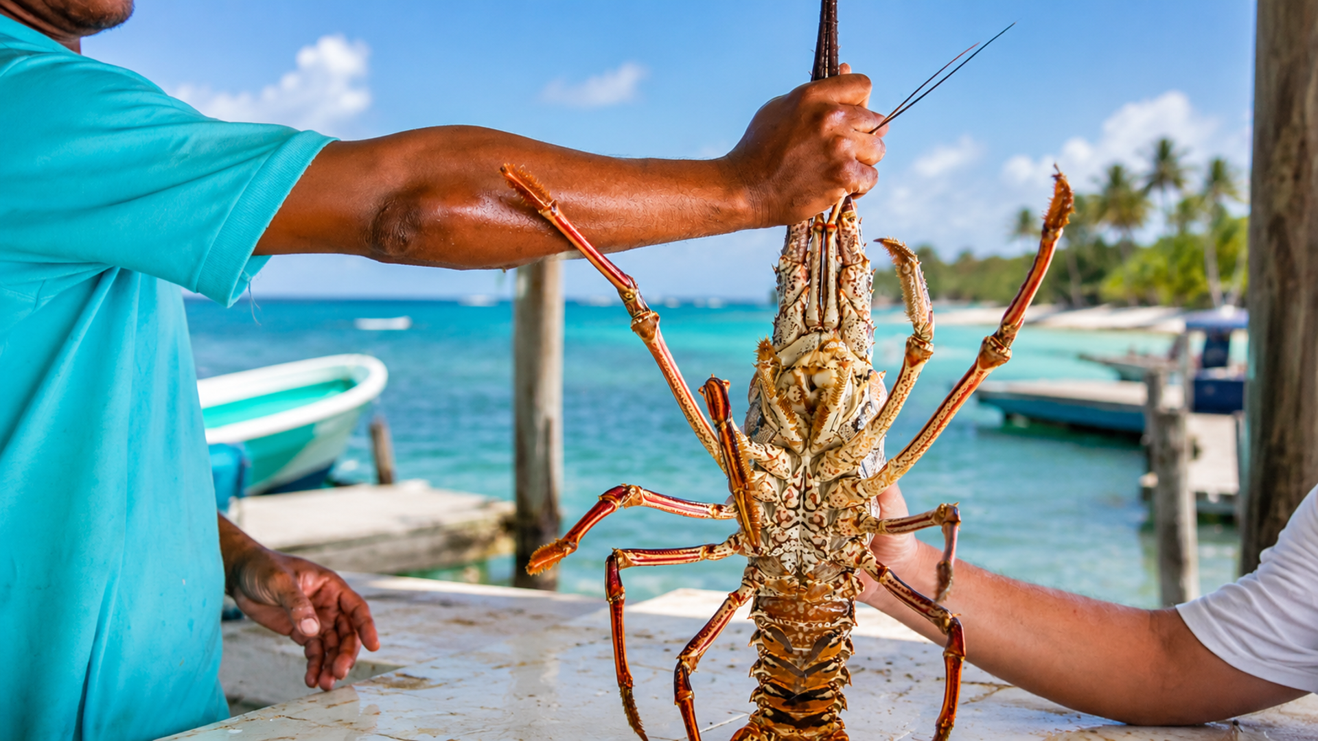san-pedro-lobster-festival-celebrate-july-11-akasha
